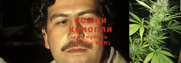 дживик Баксан