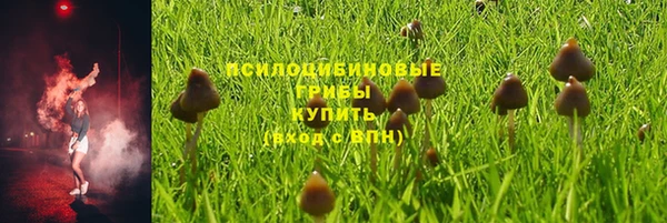 эйфоретик Армянск